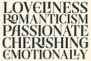 Gts Calira - Romantic Serif Font, a Serif Font by Graptail (Thumbnail 14 of 20)