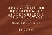Quine Camera Elegant Serif Font, a Serif Font by Graphicxell (Thumbnail 7 of 8)