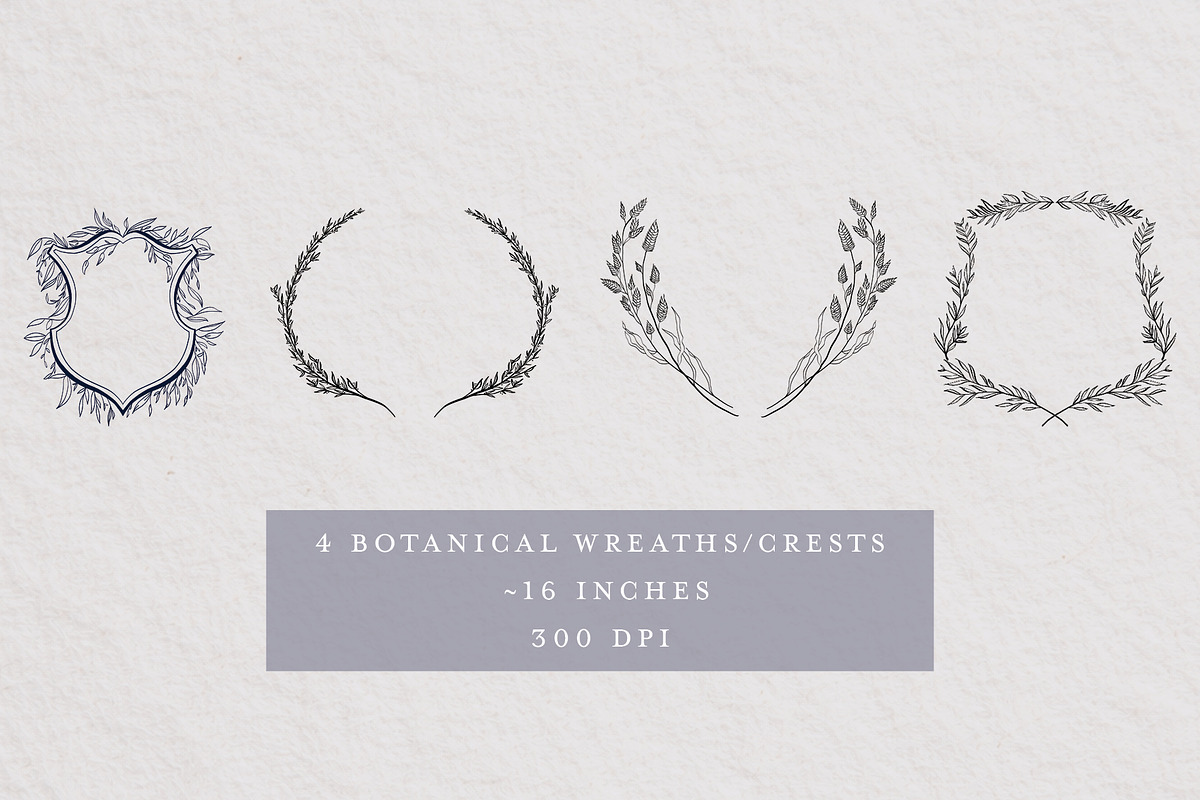 Botanical Crests and Wreaths, a Decorative Illustration by Bbooth88 (Photo 2 of 6)