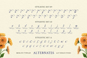Bredlive Typeface, a Script Font by alit design (Thumbnail 19 of 20)