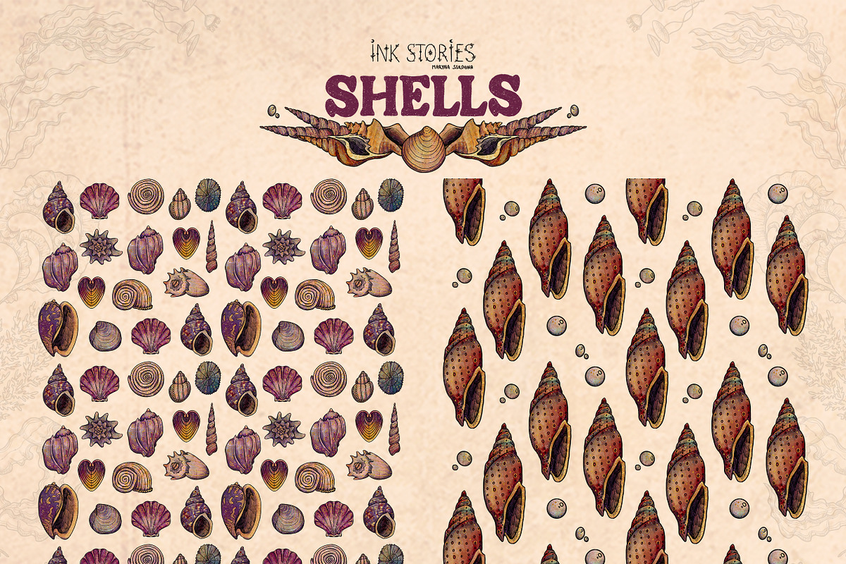 Shells, an Animal Illustration by Ink Stories (Photo 17 of 21)