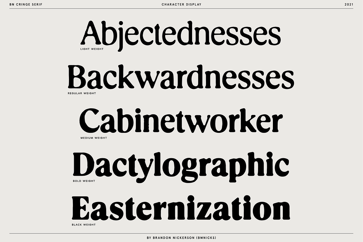 Cringe Serif, a Serif Font by Bnick (Photo 2 of 13)