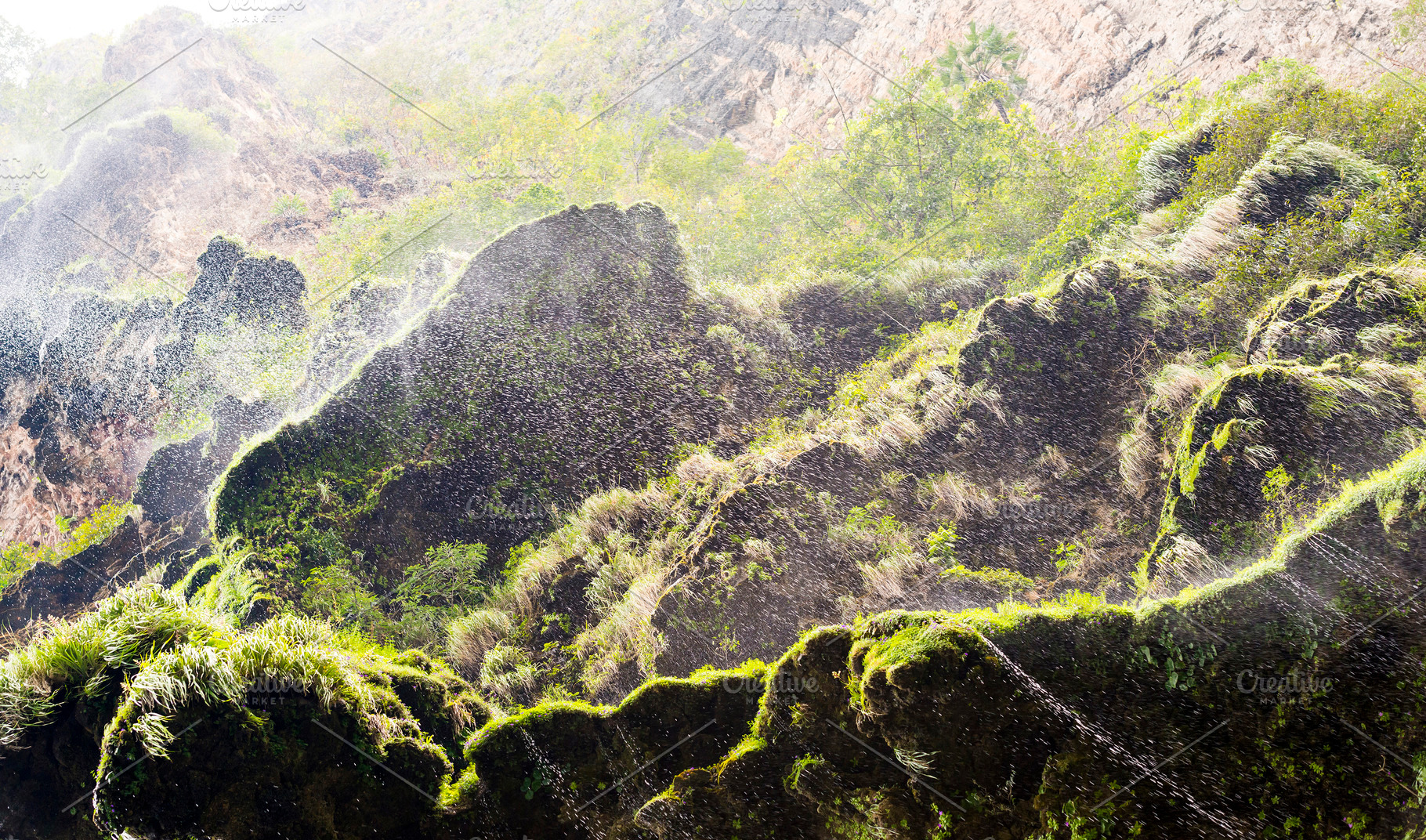 Mist Over Green Moss, a Nature Photo by THP Creative