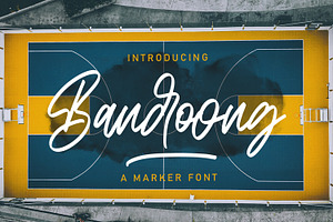 Bandoong - Modern Script Font