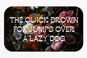 Bougerose a Modern Display Font, a Sans Serif Font by Typetemp Studio (Thumbnail 3 of 16)