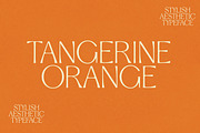 Stylish Aesthetic Typeface, a Sans Serif Font by Nicky Laatz (Thumbnail 14 of 29)