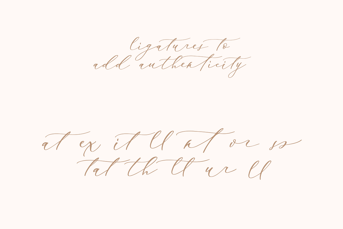 Enchantress | Luxury Script, a Script Font by theinkaffair (Photo 7 of 9)