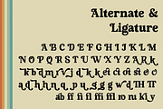 Rackles Delight, a Font by Haps Space (Thumbnail 13 of 15)
