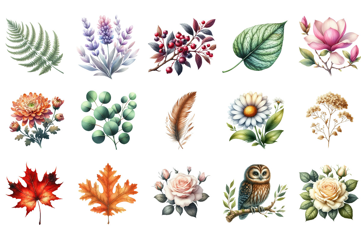 Florals and Woodland Clipart, an Illustration by Designking (Photo 2 of 5)