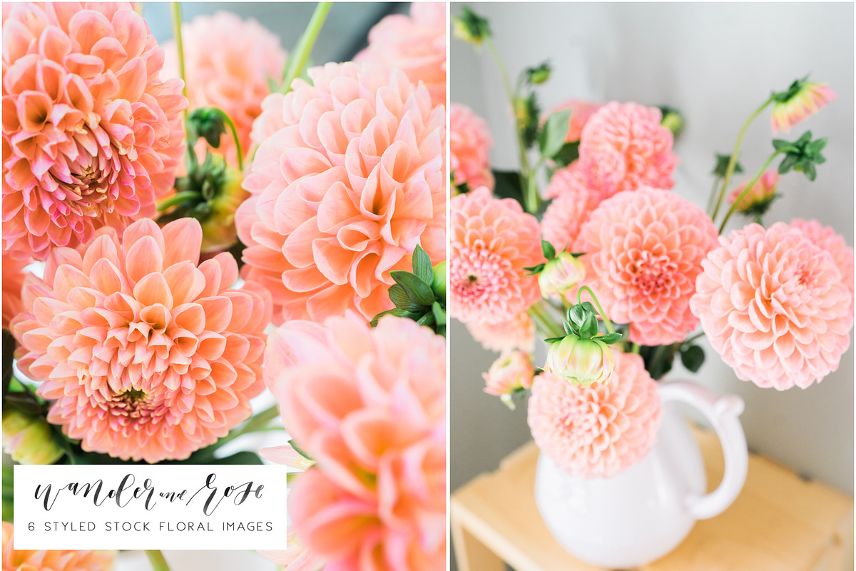 Dahlia Floral Styled Stock Images, a Social Media Template by LaPorte Images (Photo 1 of 4)