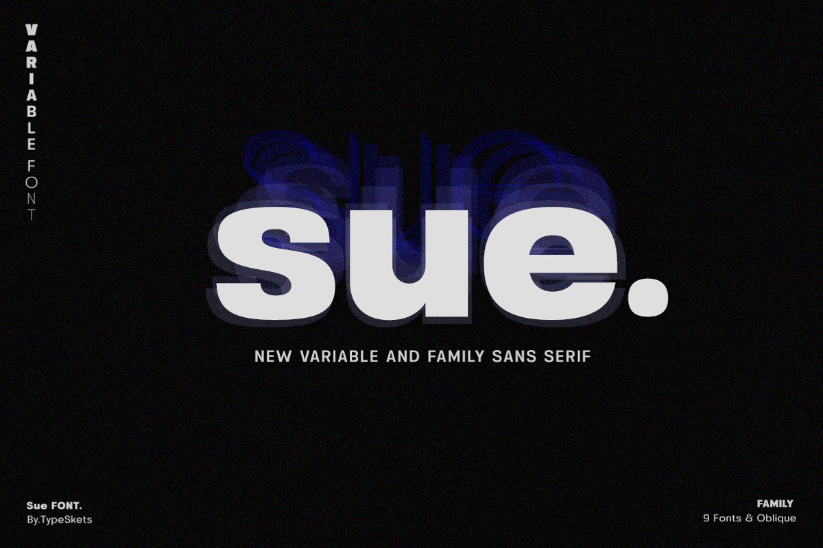 Sue - Variable & Family Sans Serif, a Sans Serif Font by Typeskets (Photo 1 of 13)
