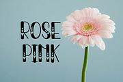 Pretty, a Script Font by InermediaSTUDIO (Thumbnail 3 of 8)