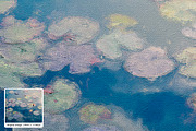 Impression Realistic Painting Effect, an Action Add-On by DesignRocket (Thumbnail 6 of 7)
