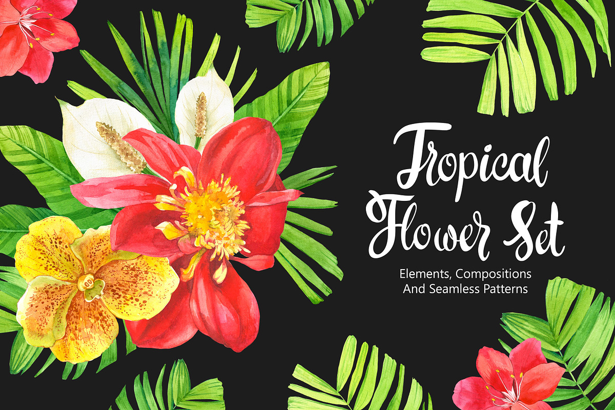 Tropical Flower Set, an Illustration by Mona Monash (Photo 1 of 12)