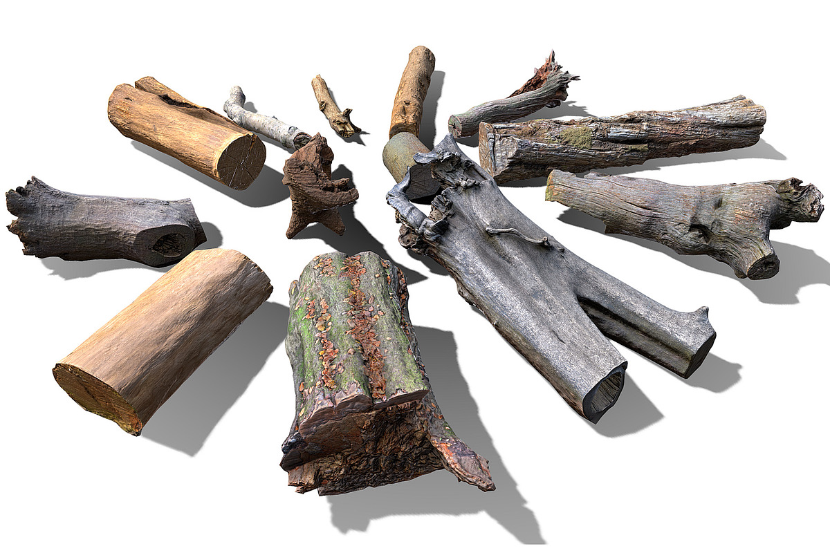 13 Tree Logs, an Environmental 3D Model by Beatheart Creative Studio (Photo 17 of 37)