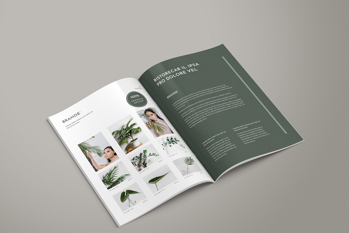 Brochure Template 01, a Brochure Template by BrochuresFactory (Photo 5 of 7)