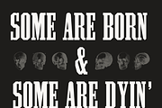 Pale Horse, a Slab Serif Font by Pale Horse (Thumbnail 8 of 11)