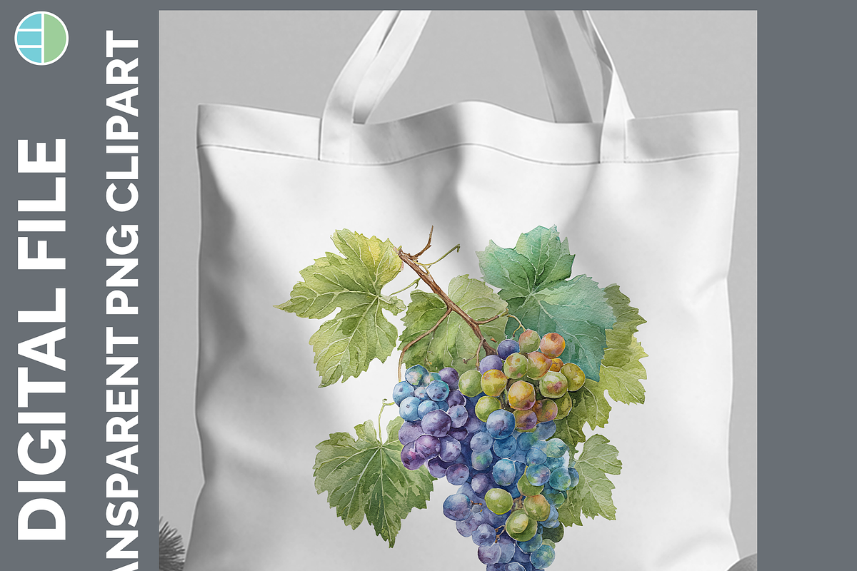 Fruit Illustration Bundle, 20 PNG, a Decorative Illustration by Enliven Designs (Photo 3 of 8)