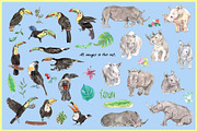 Rhino & Toucan-Watercolor Clipart, an Illustration by VianneArt (Thumbnail 2 of 7)