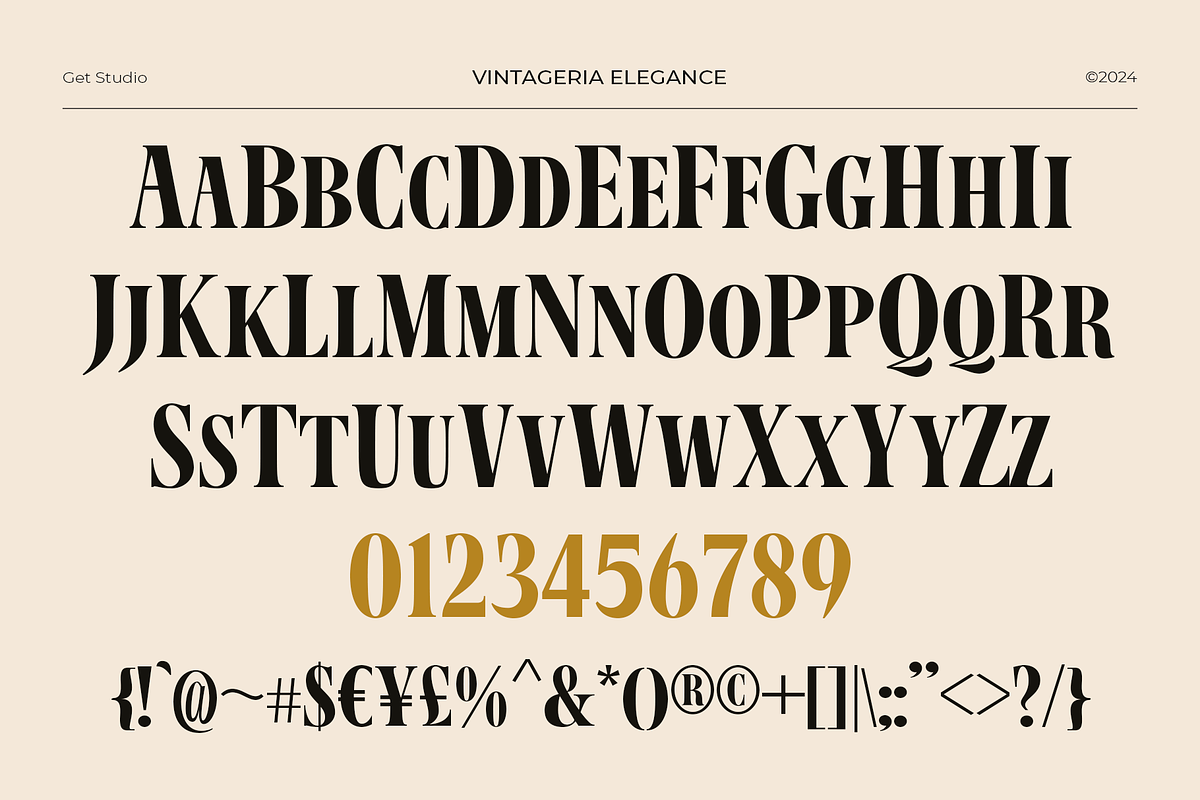 Vintageria Elegance, a Serif Font by Get Studio (Photo 16 of 17)