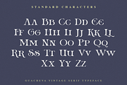 Guacheva, a Serif Font by ilhamtaro (Thumbnail 8 of 10)