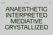 Drab — modern grotesk font, a Sans Serif Font by Viktor Pesotsky | Fonts (Thumbnail 18 of 18)