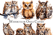 Watercolor Owl Clipart, an Object Graphic by ArtisticTimberStudio (Thumbnail 1 of 2)