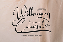 Willnesong Celestial Signature Font