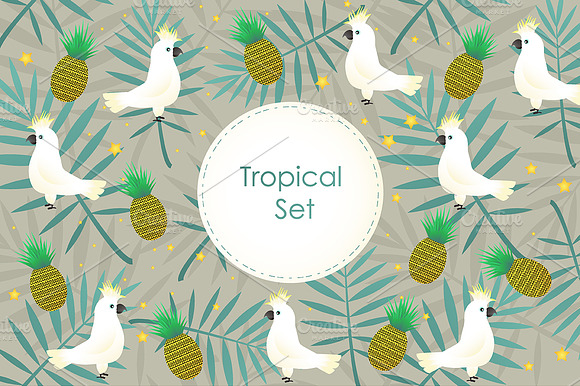 Tropical set preview 4