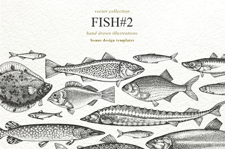 Fish#2 Vector Collection, a Food Illustration by Lubov Illustrations Shop
