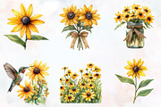 Black Eyed Susan Watercolor Cliparts, an Illustration by RobertsArt (Thumbnail 2 of 7)