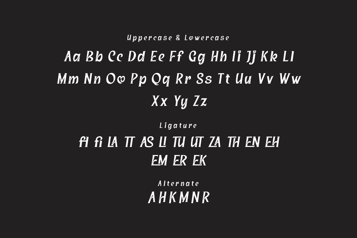 Saigren - Serif Display Font, a Serif Font by twinstd (Photo 5 of 10)