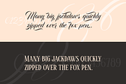 Bandung PRO - Luxury Wedding Font, a Script Font by dexsarharryfonts (Thumbnail 4 of 9)