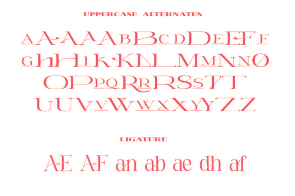 Luis Martinelli - Two Fonts Beauty, a Serif Font by AleraStudio (Photo 8 of 10)