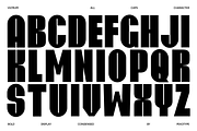 VILTRUM - Super Bold Condensed Font, a Font by Pekotype (Thumbnail 3 of 15)