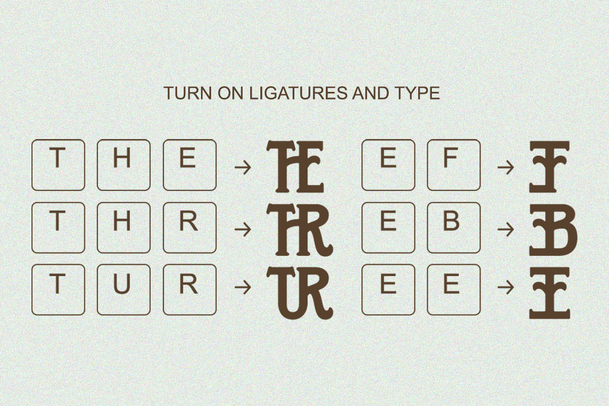 Heartfield - Vintage Condensed, a Serif Font by Qweera Studio (Photo 9 of 12)