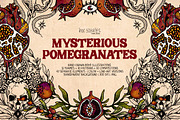 Mysterious Pomegranates Vintage Set, a Decorative Illustration by Ink Stories (Thumbnail 1 of 13)