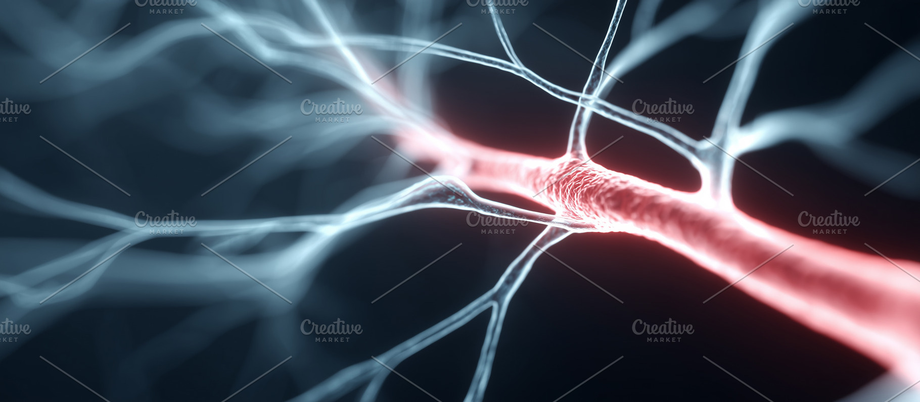 Neuron with glowing synapse, a Health & Medical Photo by MistyDay