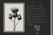Lace & Grace Vol 2. Hand-Drawn Lace, an Object Graphic by AnMark (Thumbnail 9 of 17)