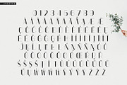 Smoothie Font Duo, a Script Font by FactoryType Studio (Thumbnail 10 of 10)