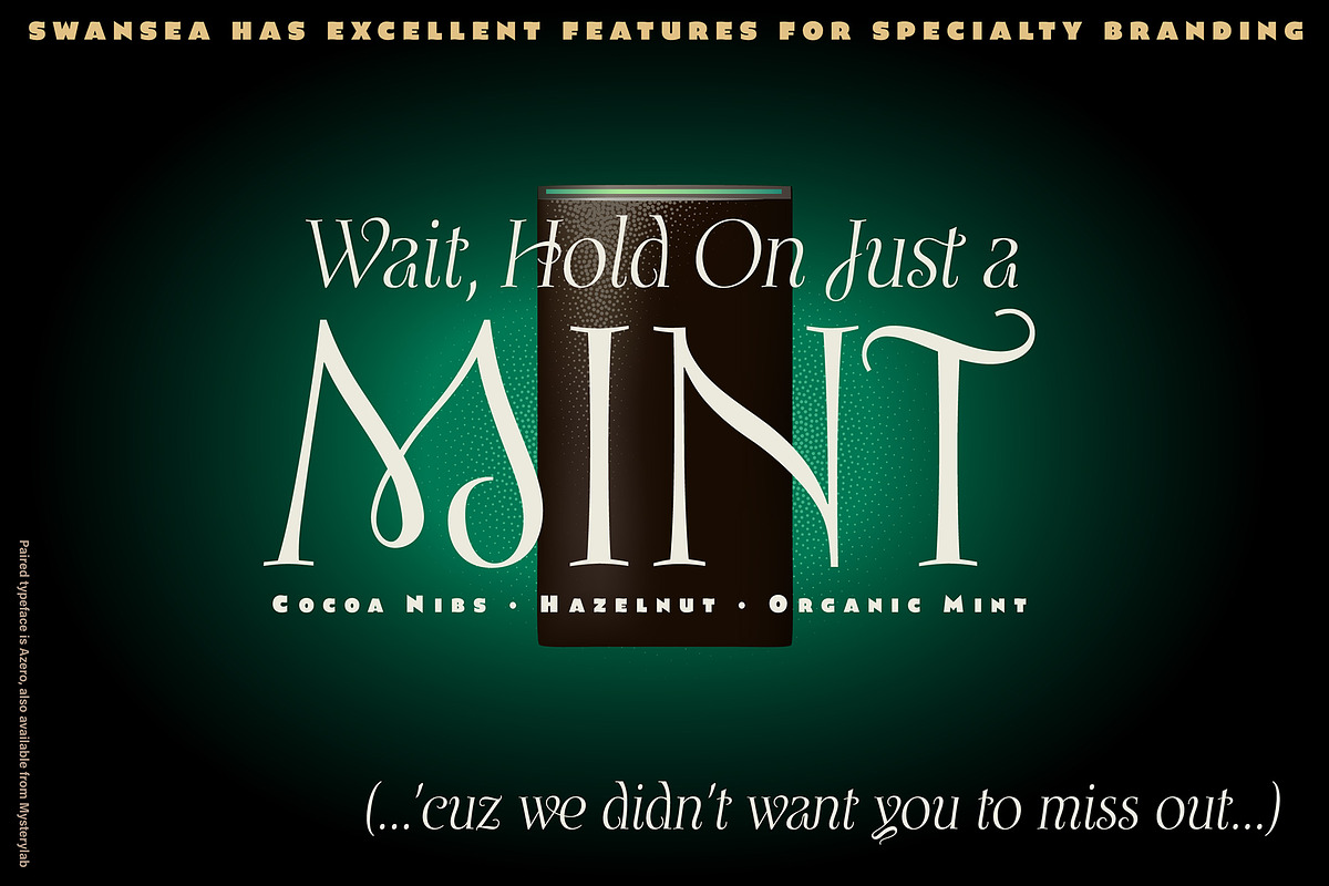 Swansea Font, a Serif Font by Mysterylab Designs (Photo 4 of 9)