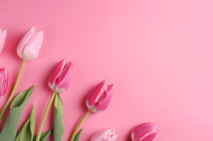 colorful tulip background, a Nature Photo by Virgo Studio