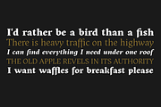 Kitsch - 32 fonts, a Serif Font by Zetafonts (Thumbnail 3 of 13)