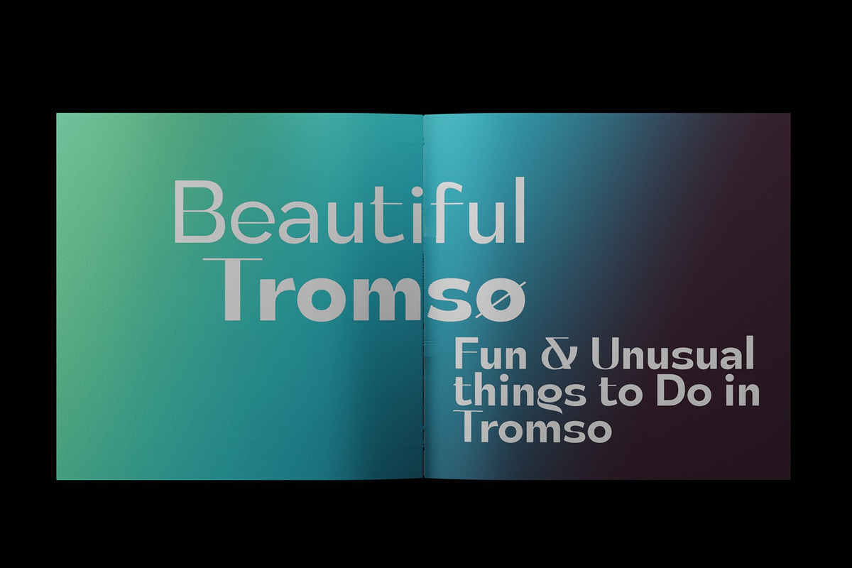 Tulip Algarve Font Family, a Sans Serif Font by Ryul Davidson (Photo 13 of 15)
