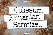 Rompluck - A Display Typeface, a Serif Font by Comactype Foundry (Thumbnail 4 of 20)