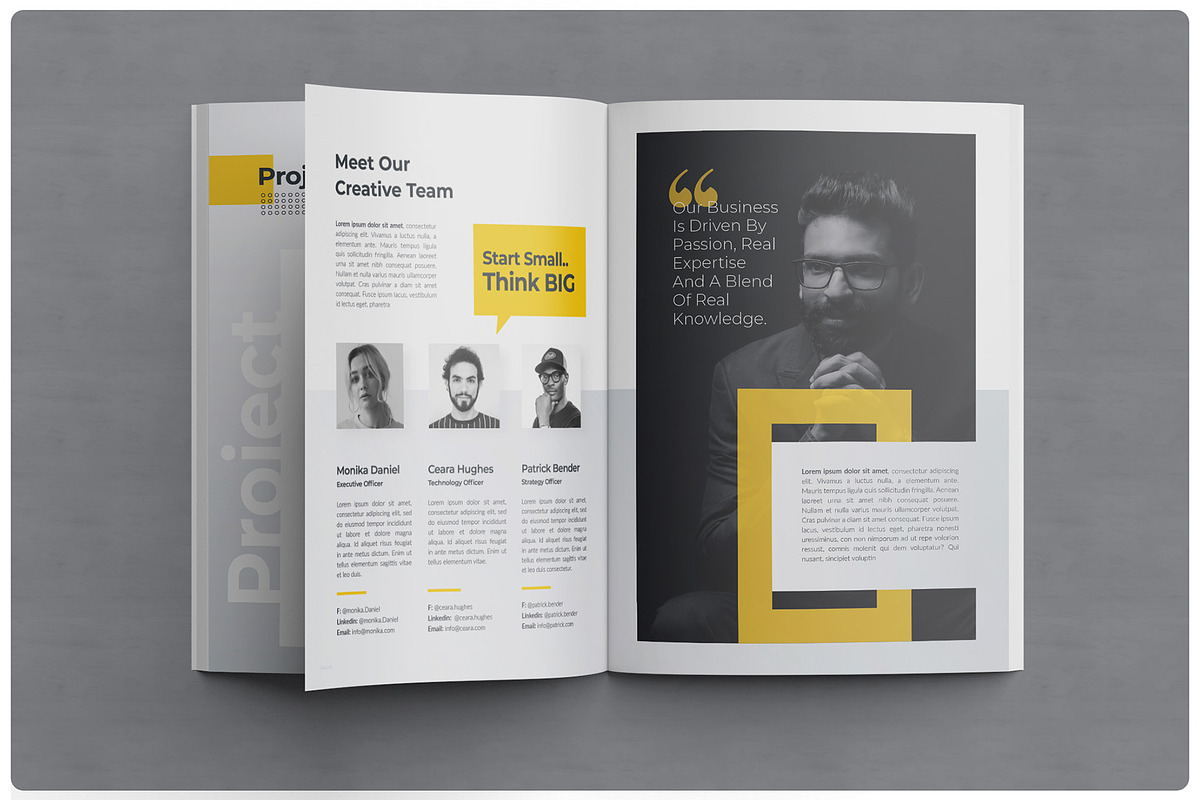 Proposal 24 Pages | DOCX, InDesign, a Brochure Template by BrochuresFactory (Photo 7 of 11)