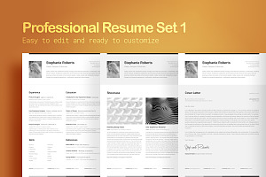 Professional Resume Set 1 Horizontal