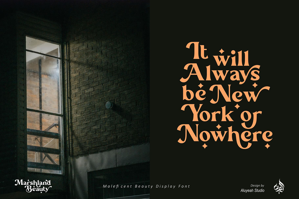 Marshland Beauty, a Font by Aluyeah Studio (Photo 3 of 15)
