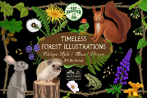 Forest Sketchbook illustrations