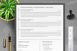 Clean Resume Booklet New Resume CV